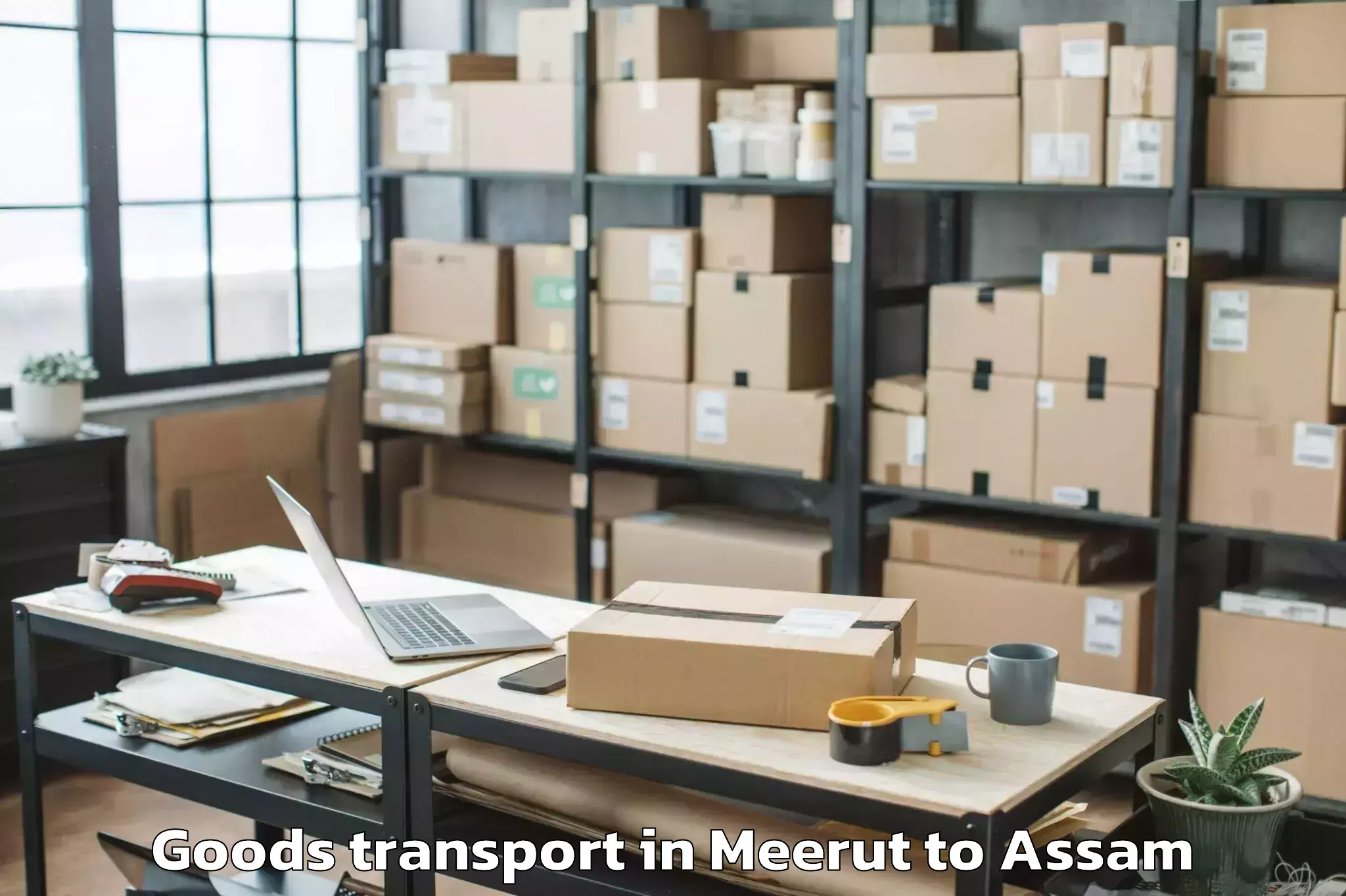 Professional Meerut to Udharbond Goods Transport